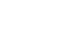 FlyLogic_Logo_weiß