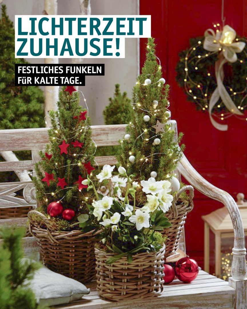 Instagram Beitrag: Lichterzeit zuhause: festliches Funkeln für kalte Tage.